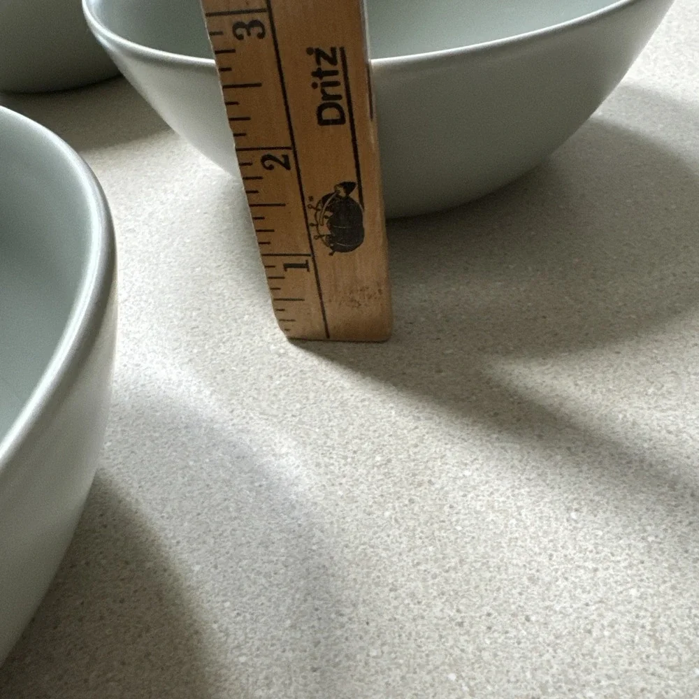 Set of 4 FABLE Modern Ceramic Dinner Bowls 6.25
